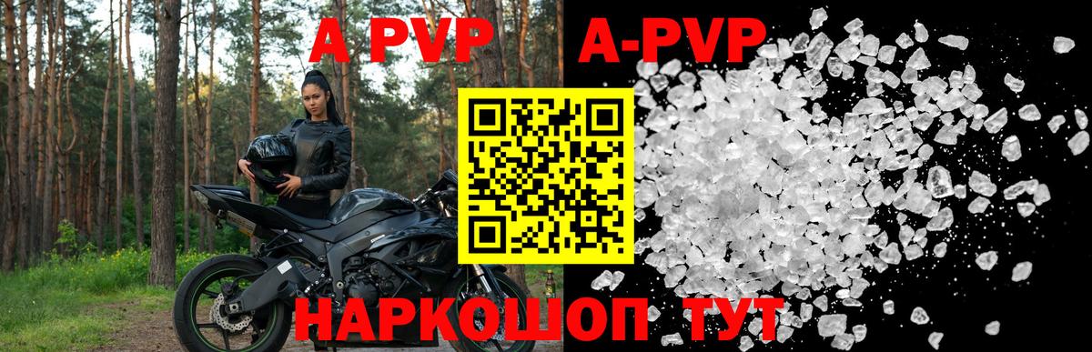 Альфа ПВП СК КРИС Вологда