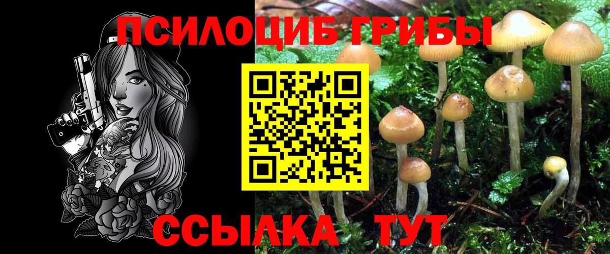 Псилоцибиновые грибы Cubensis  Галлюциногенные грибы прущие грибы  Вход с VPN  Вологда 